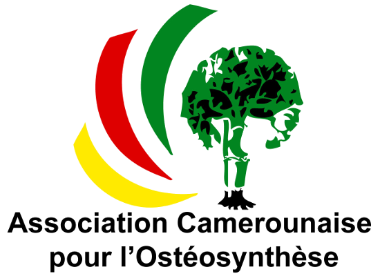 ao-cameroun