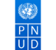PROGRAMME DES NATIONS UNIES POUR LE DÉVELOPPEMENT (PNUD)